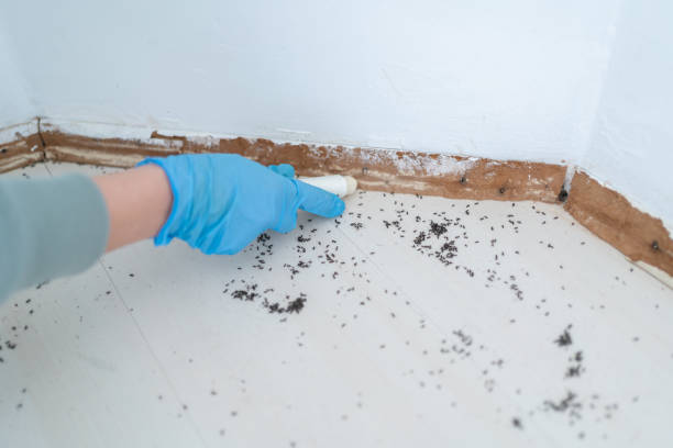 Best Pest Control Near Me  in La Junta, CO